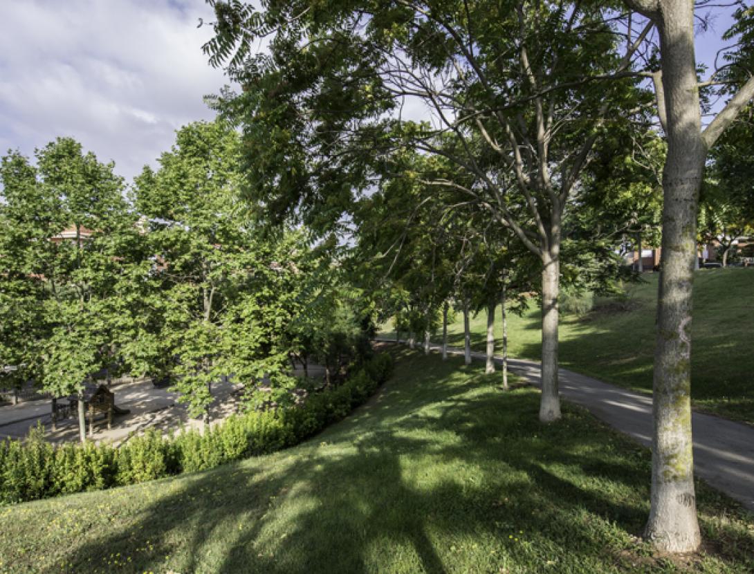 Parc de Can Guardiola Parc de Can Guardiola.jpg