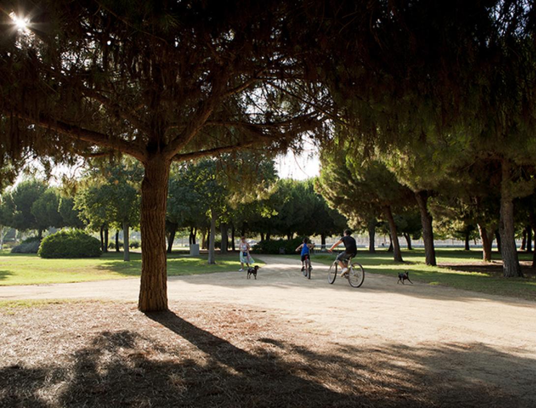 © Mari Luz Vidal © Mari Luz Vidal