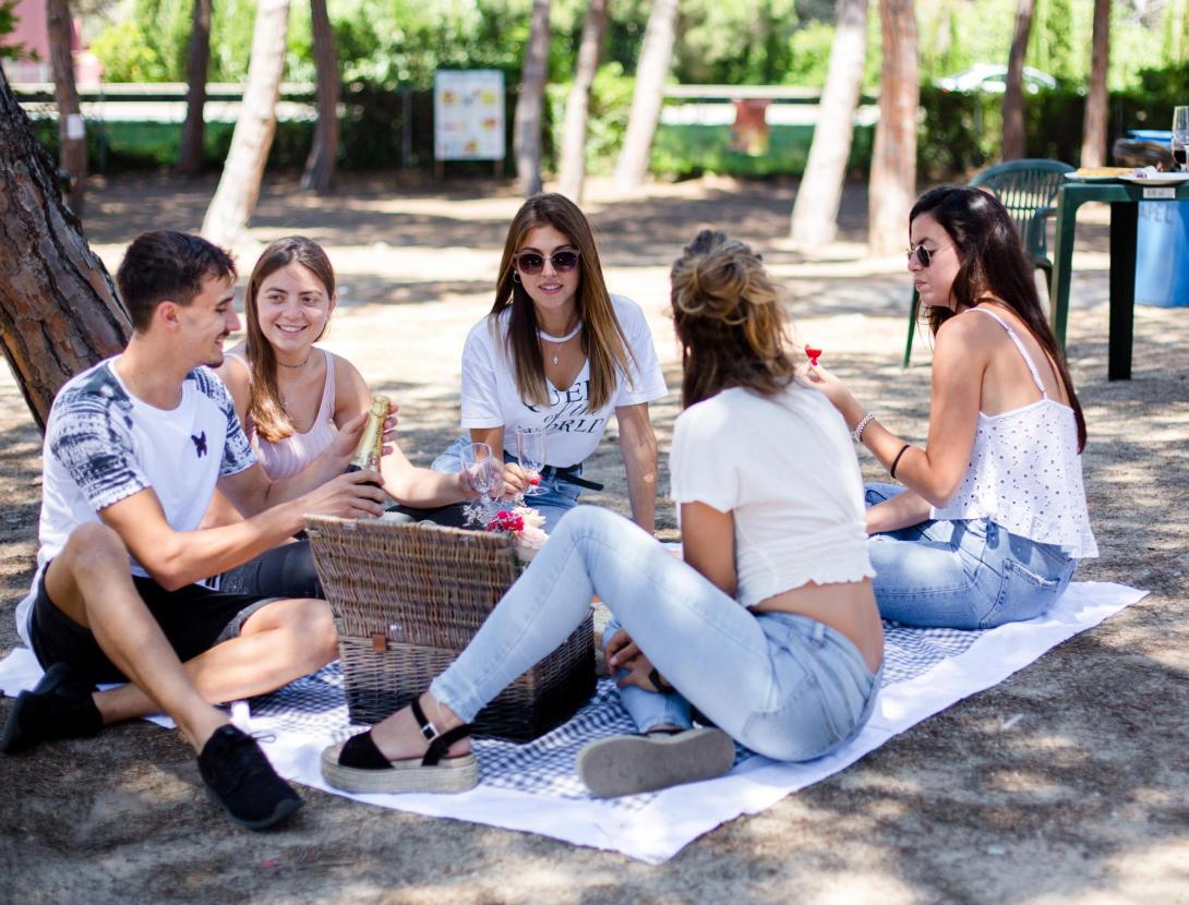 AREA DE PIC-NIC Y BARBACOAS EUROPA AREA DE PIC-NIC Y BARBACOAS EUROPA