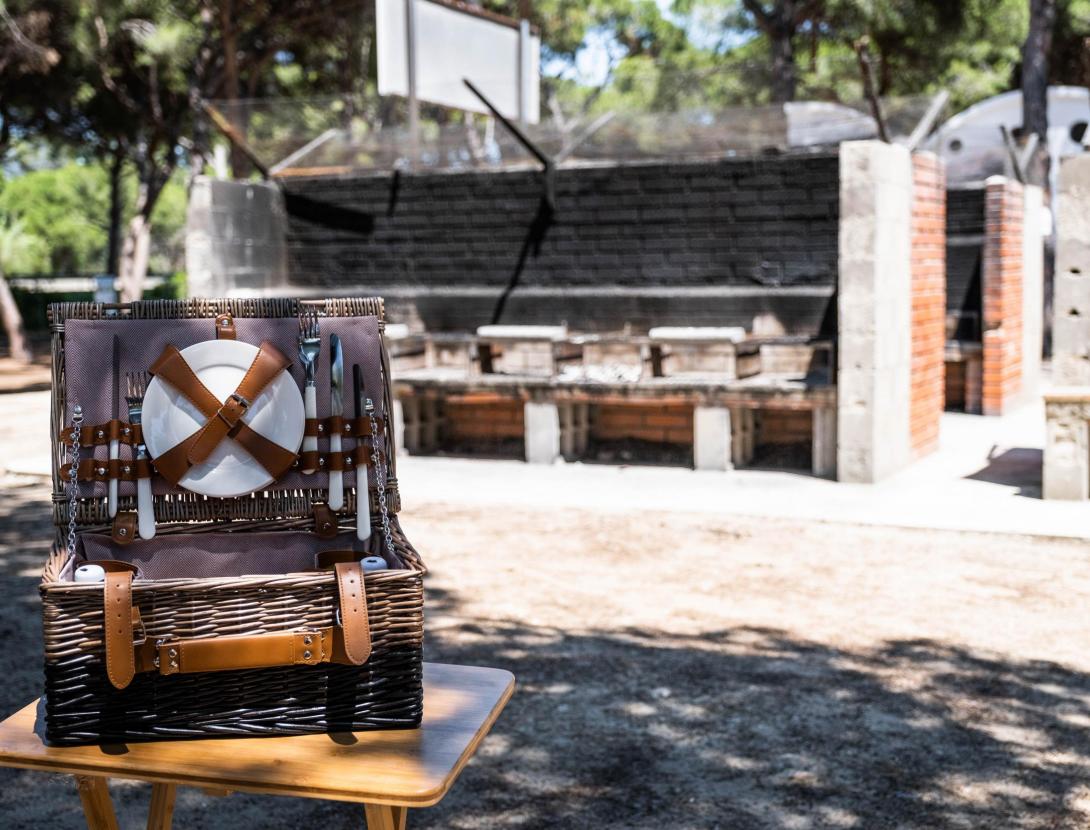 AREA DE PIC-NIC Y BARBACOAS EUROPA AREA DE PIC-NIC Y BARBACOAS EUROPA