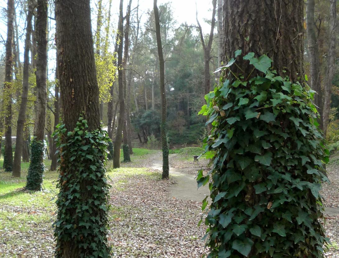 Parc Canals i Nubiola. Espai per a esbarjo familiar Parc Canals i Nubiola. Espai per a esbarjo familiar