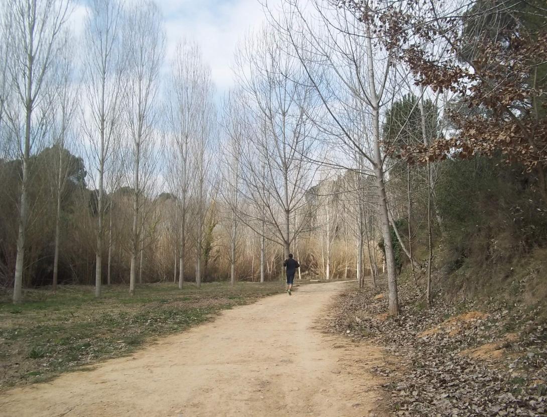 Parc Forestal de Can Cases Parc Forestal de Can Cases