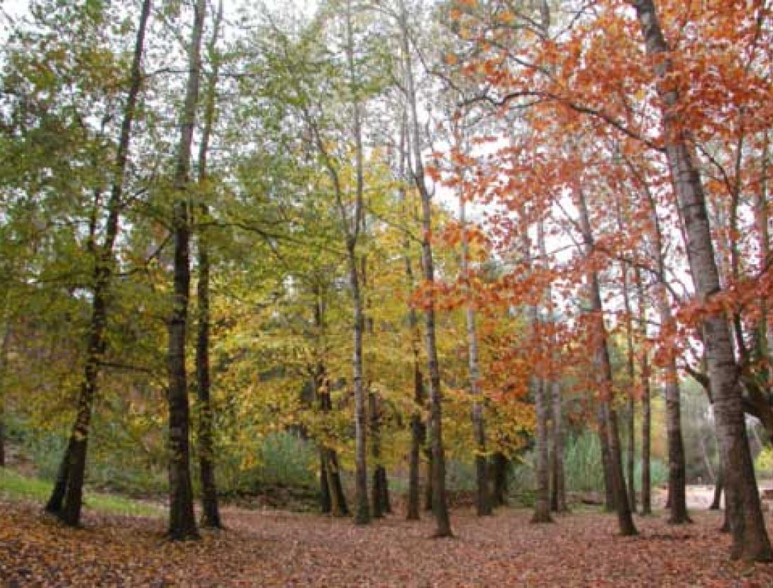 Parc Canals i Nubiola. Espai per a esbarjo familiar Parc Canals i Nubiola. Espai per a esbarjo familiar