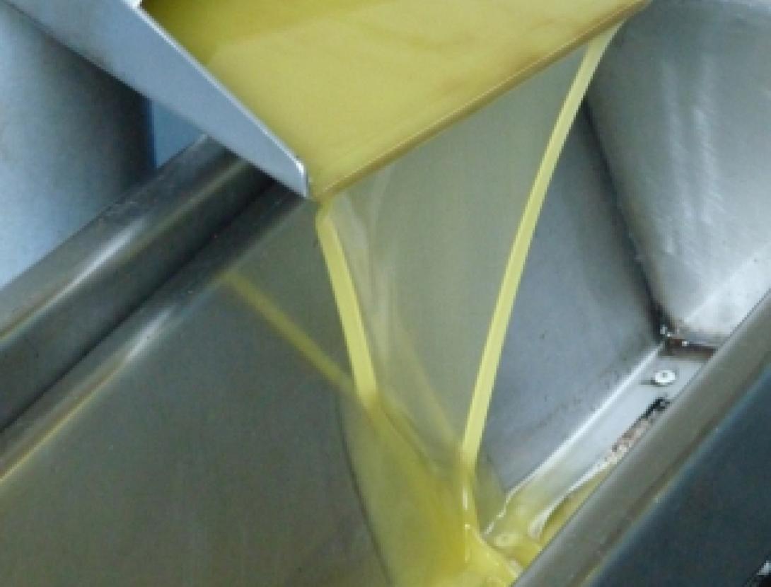 Oulesa, l'oli d'Olesa de Montserrat Oulesa, l'oli d'Olesa de Montserrat