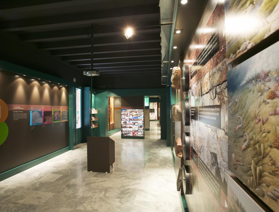 Museu de Gavà E90T2122 baixa.jpg