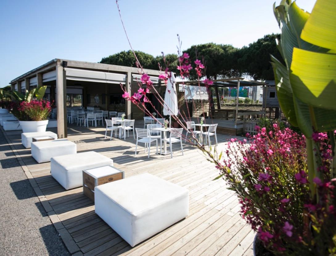 Olimpic Cable Park OCP.jpeg