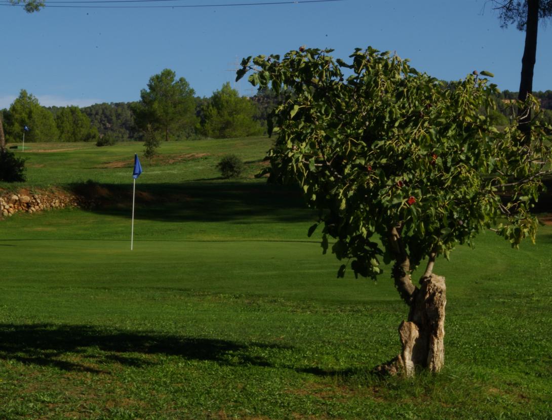 Pitch&Putt Can Mascaró Pitch & Putt4.JPG