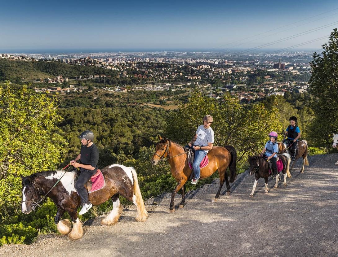 Hípica Poni Club Catalunya Hípica Poni Club Catalunya