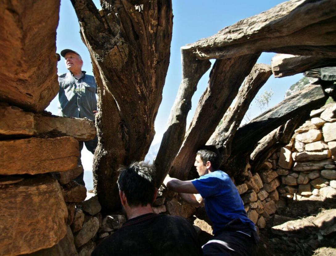 Ruta geològica per les Ribes Blaves + menú amb productes de temporada Ruta geològica per les Ribes Blaves