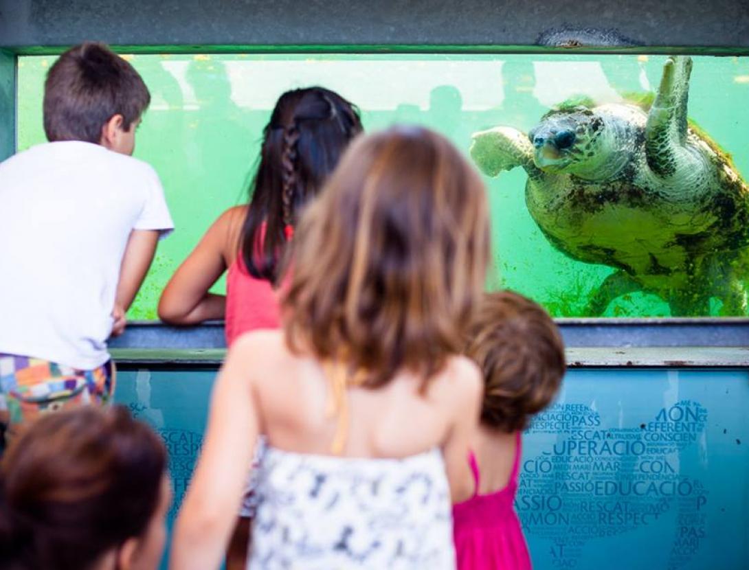 Fundació CRAM 10645148_10152619379227052_4025992193516550603_n.jpg