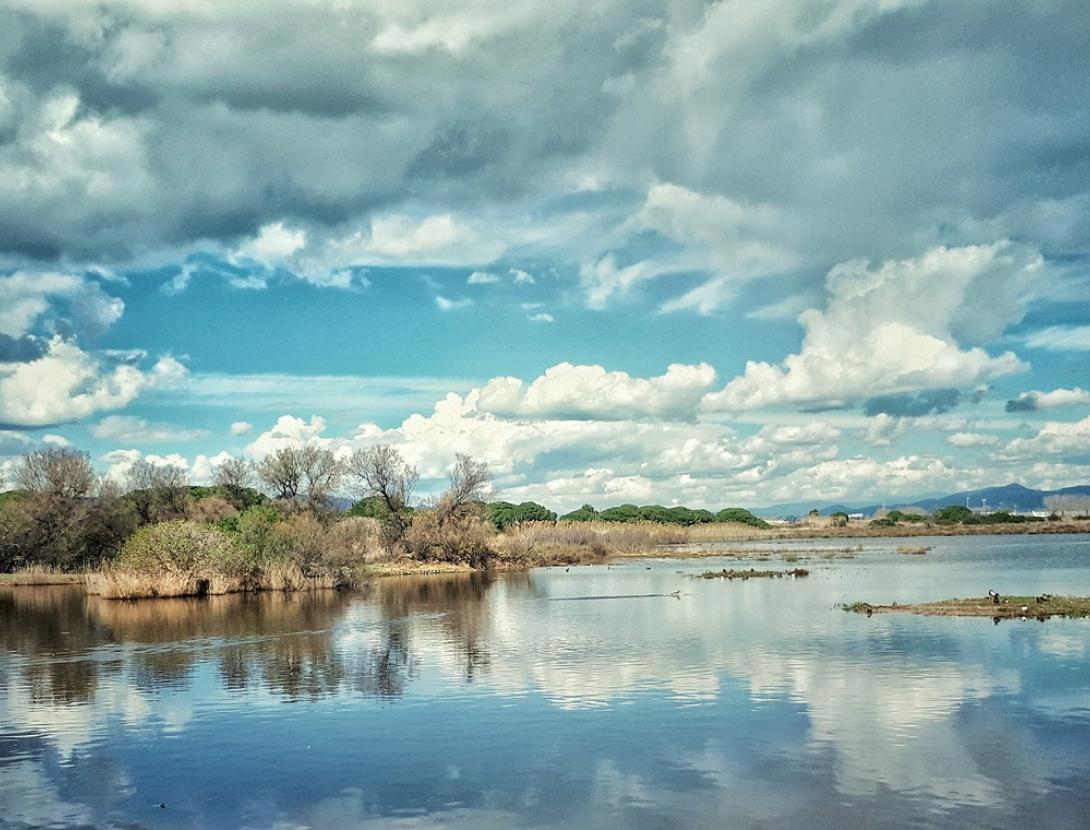 Descobrim el Delta en bici amb Fundació Sigea Fundació Sigea