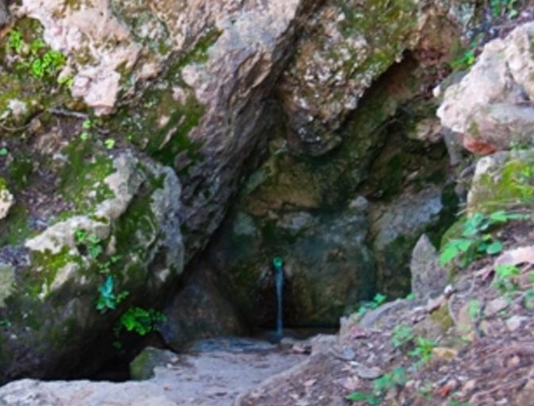 Font del Mas Natura Local