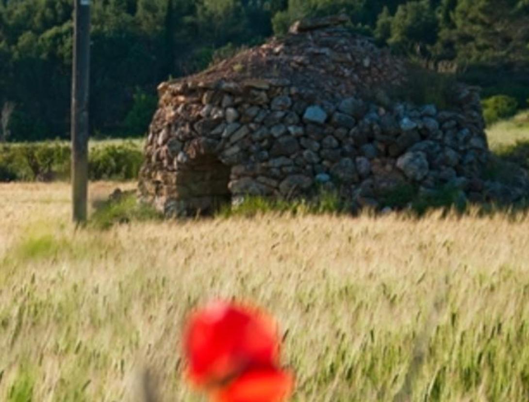Barraca de vinya Natura Local