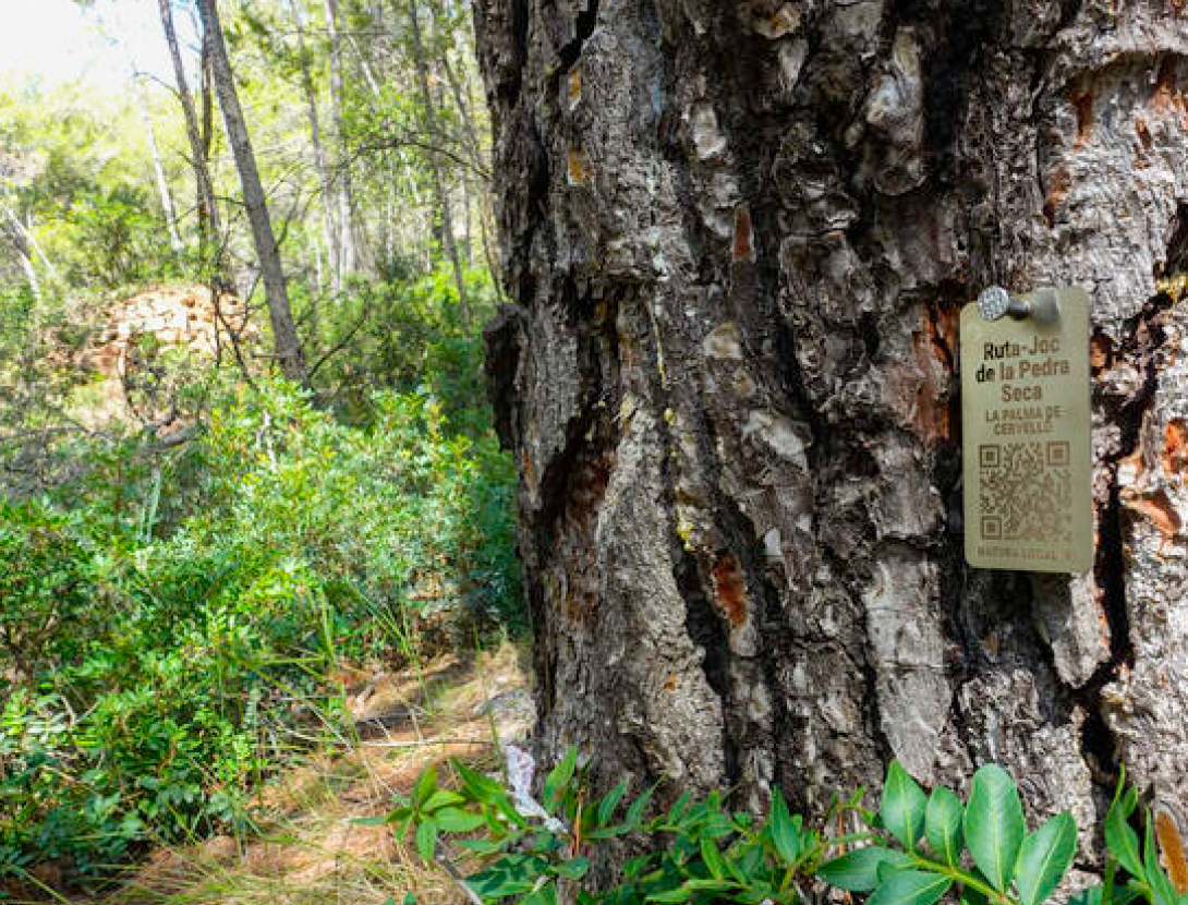 Ruta-joc de la Pedra Seca Pedra Seca La Palma de Cervelló