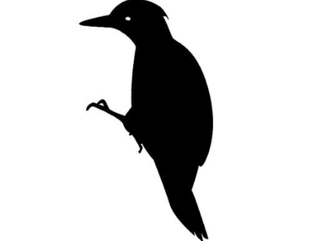 Rutes autoguiades a Corbera de Llobregat