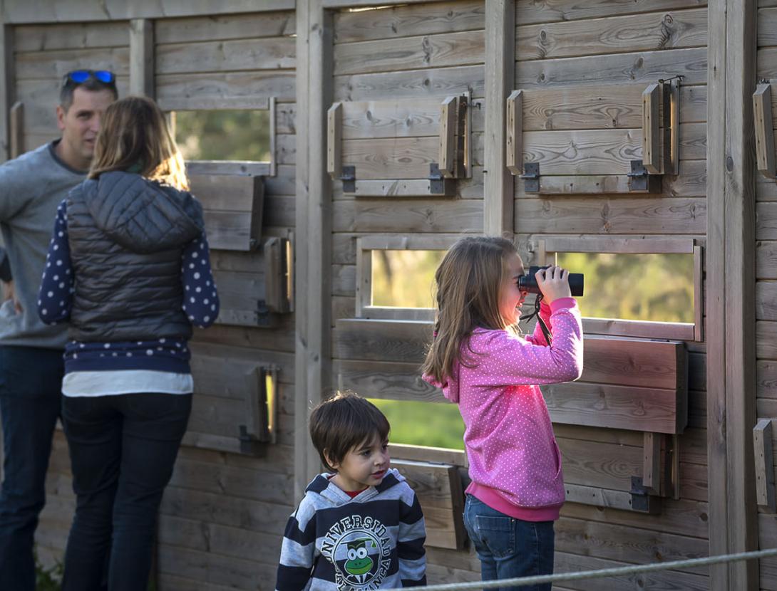 Espais Naturals del Delta del Llobregat _DSC8742 copia.jpg