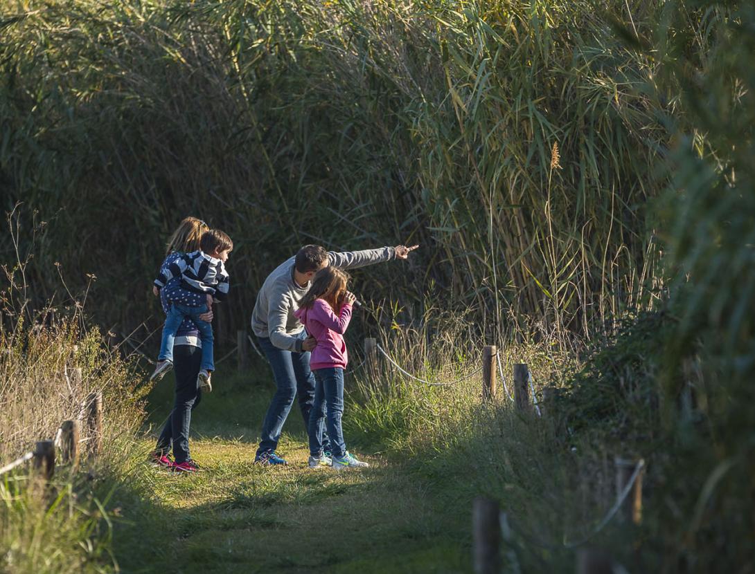 Espais Naturals del Delta del Llobregat _DSC8907 copia.jpg