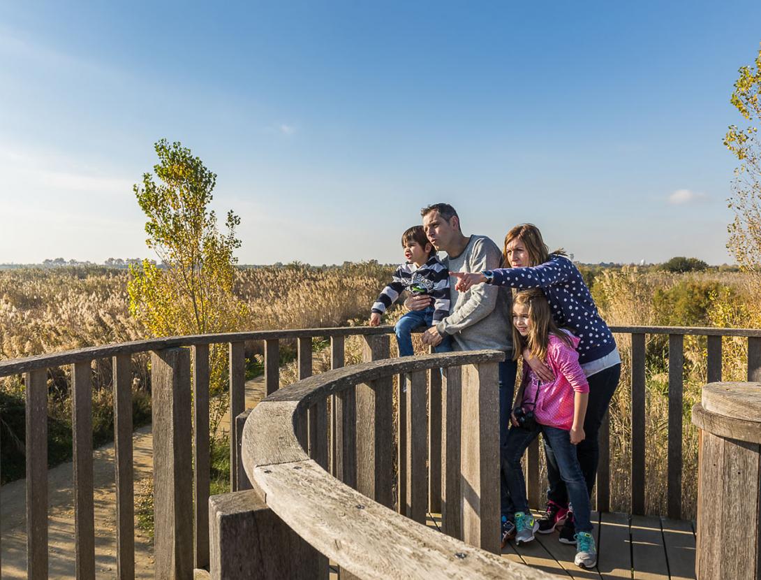 Espais Naturals del Delta del Llobregat _DSC9121 copia.jpg