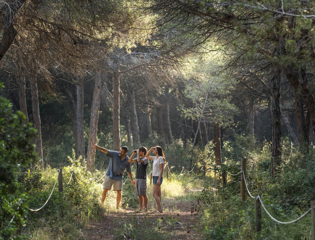 Espais Naturals del Delta del Llobregat _ORP0852.jpg