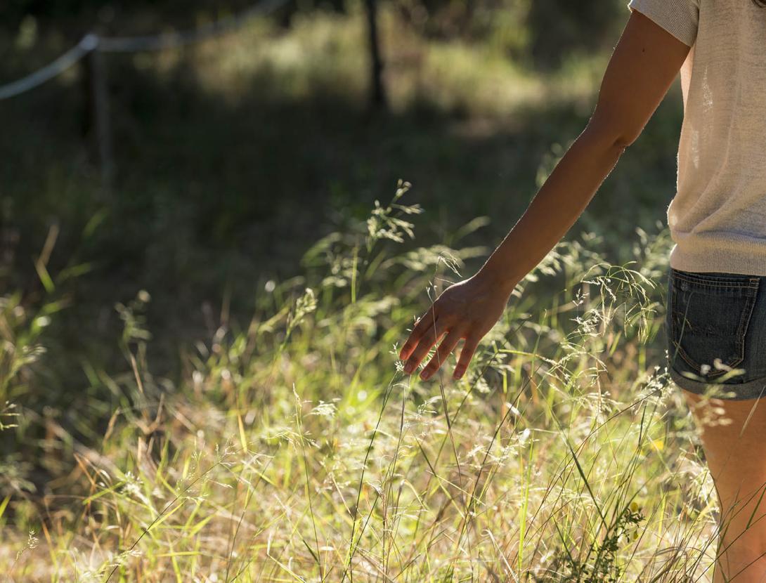 Espais Naturals del Delta del Llobregat _ORP1124.jpg