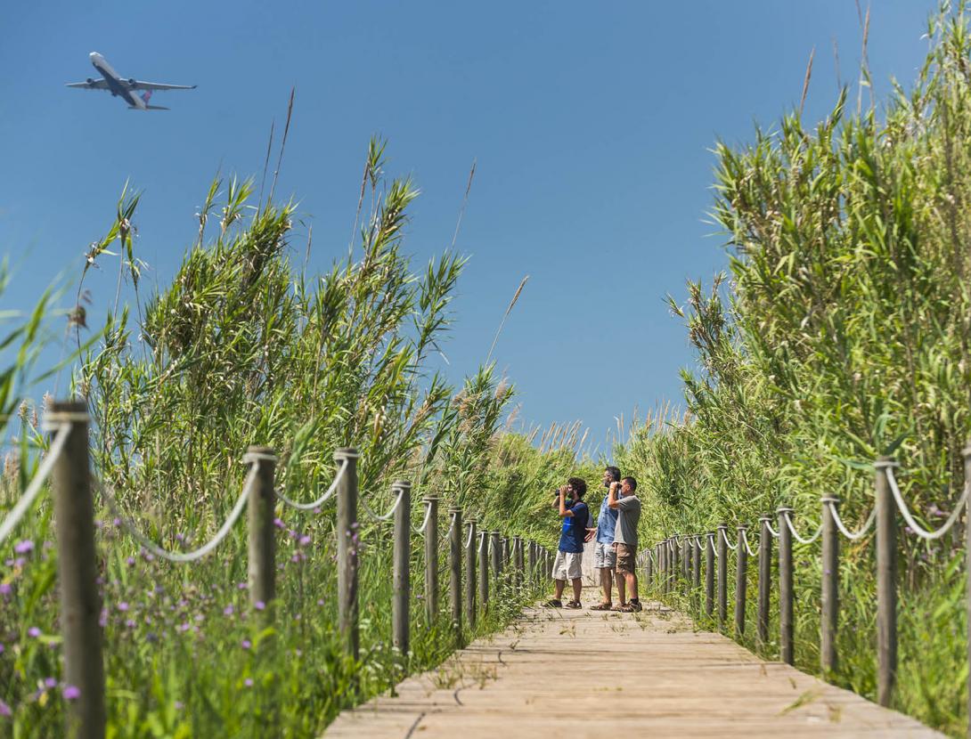 Espais Naturals del Delta del Llobregat _ORP1621.jpg