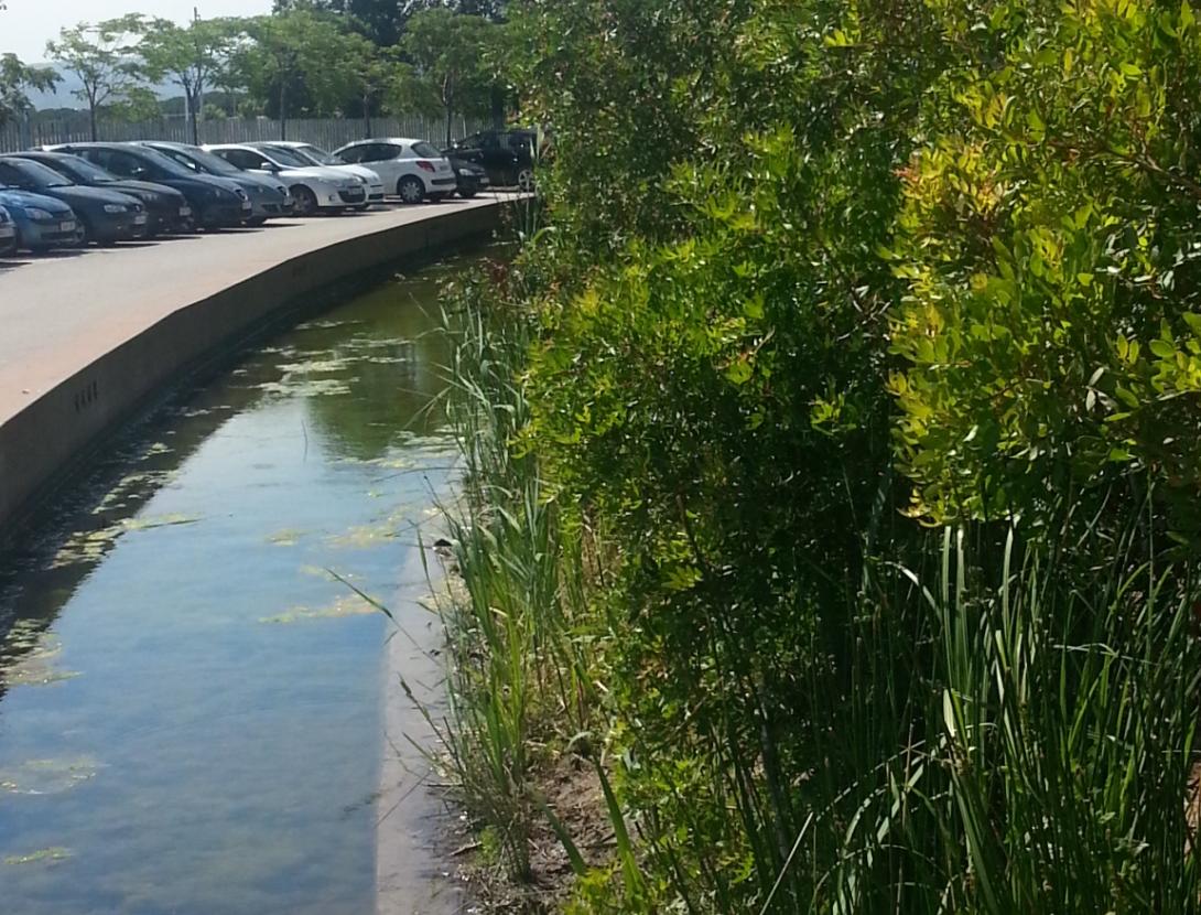 Sortides en bici pel delta del Llobregat - Alberg Centre Esplai Albergue_Barcelona_aparcamiento.JPG