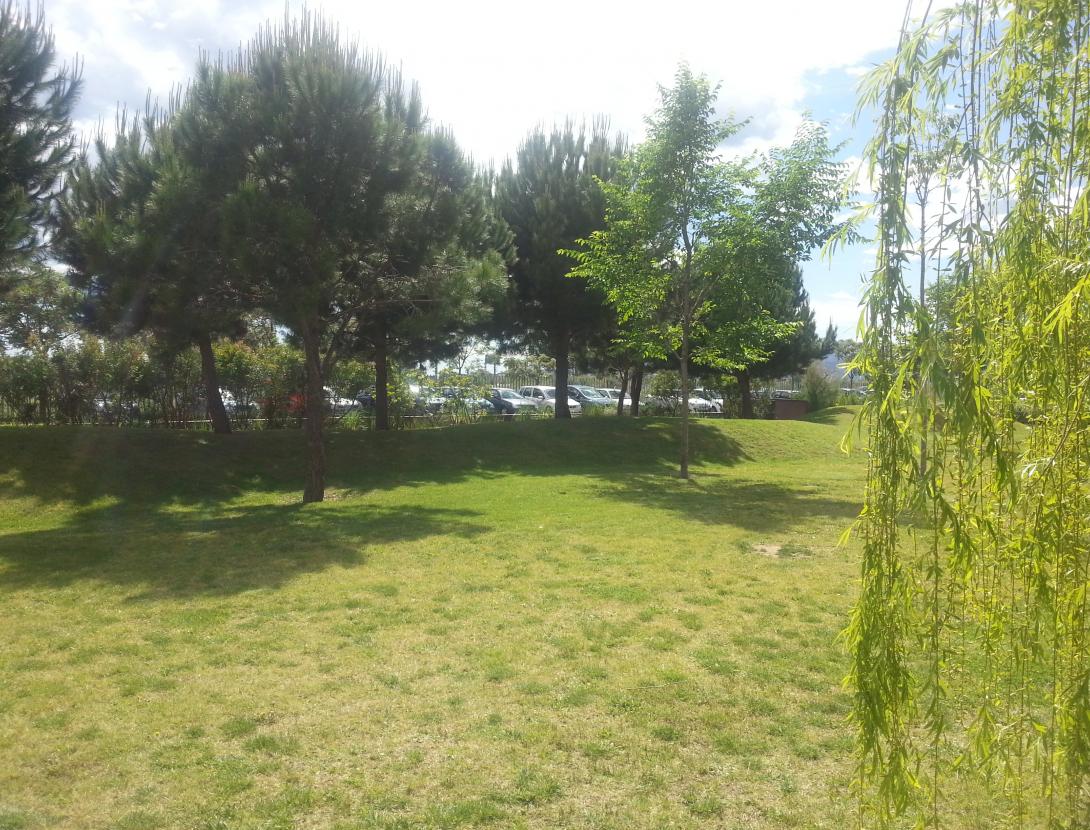 Sortides en bici pel delta del Llobregat - Alberg Centre Esplai Albergue_Barcelona_jardín.JPG