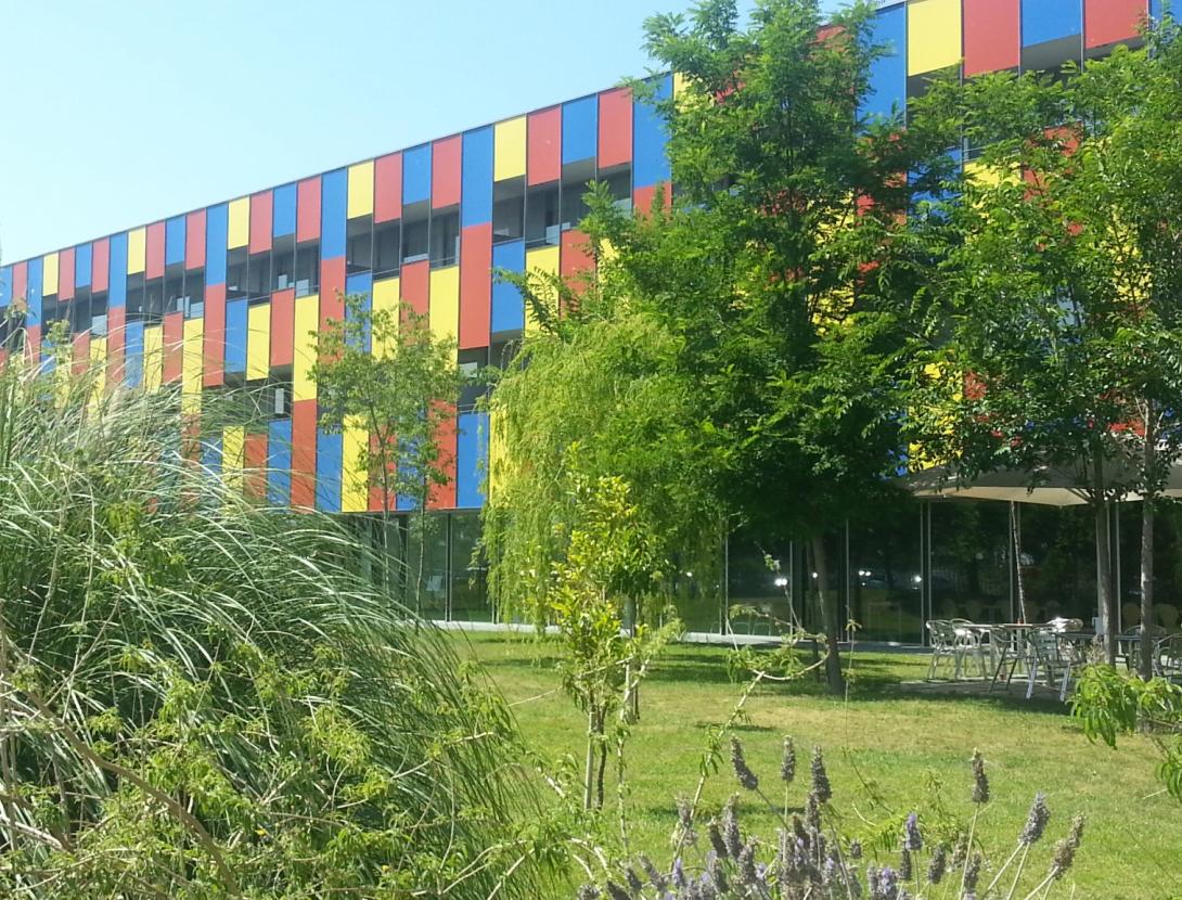 Sortides en bici pel delta del Llobregat - Alberg Centre Esplai Albergue_Barcelona_jardín7.JPG