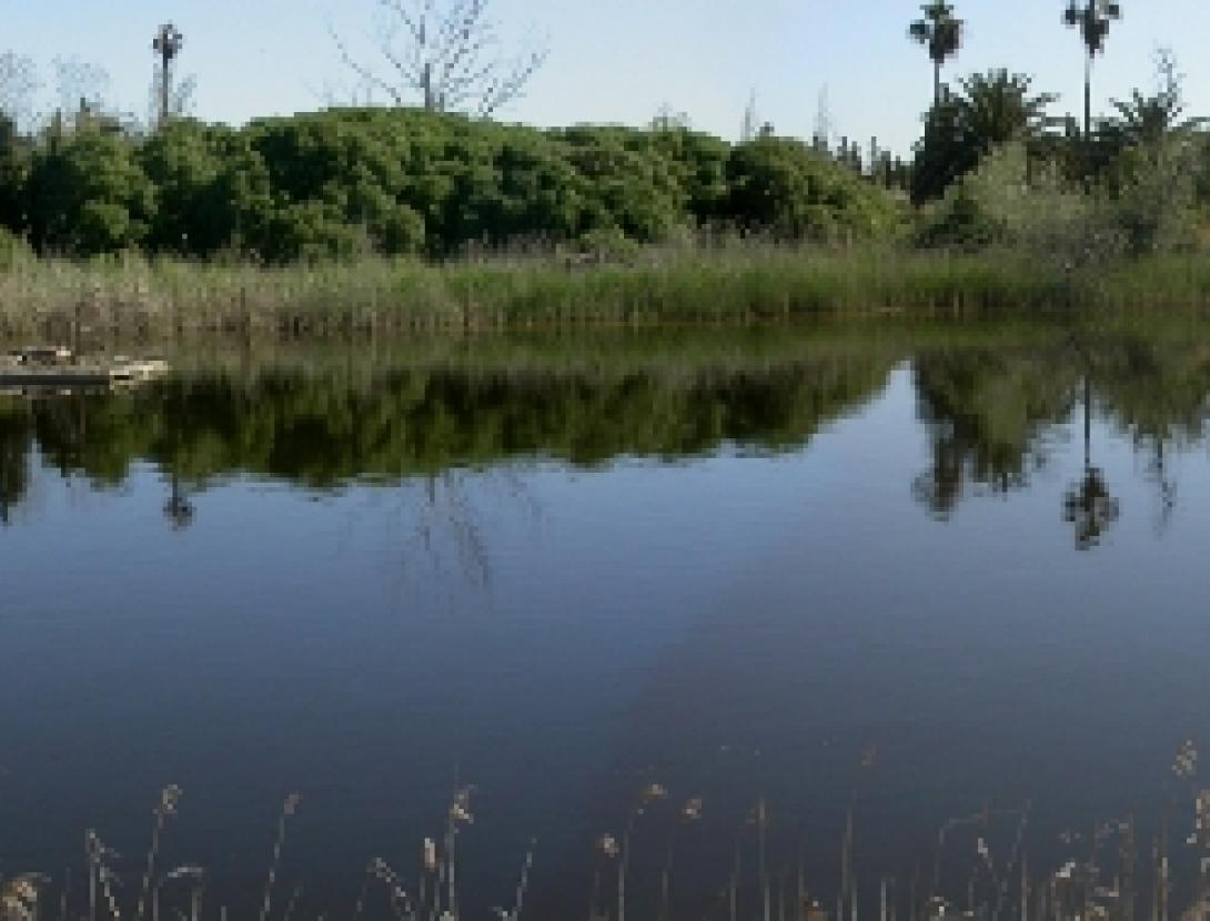 Espais Naturals del Delta del Llobregat Baixa resol..jpg