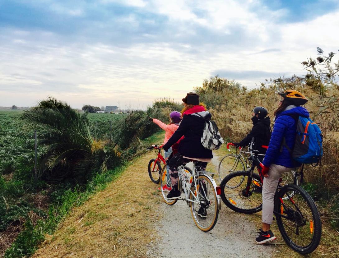 Ruta Delta Km0 - La Co-creativa camins rurals.jpg