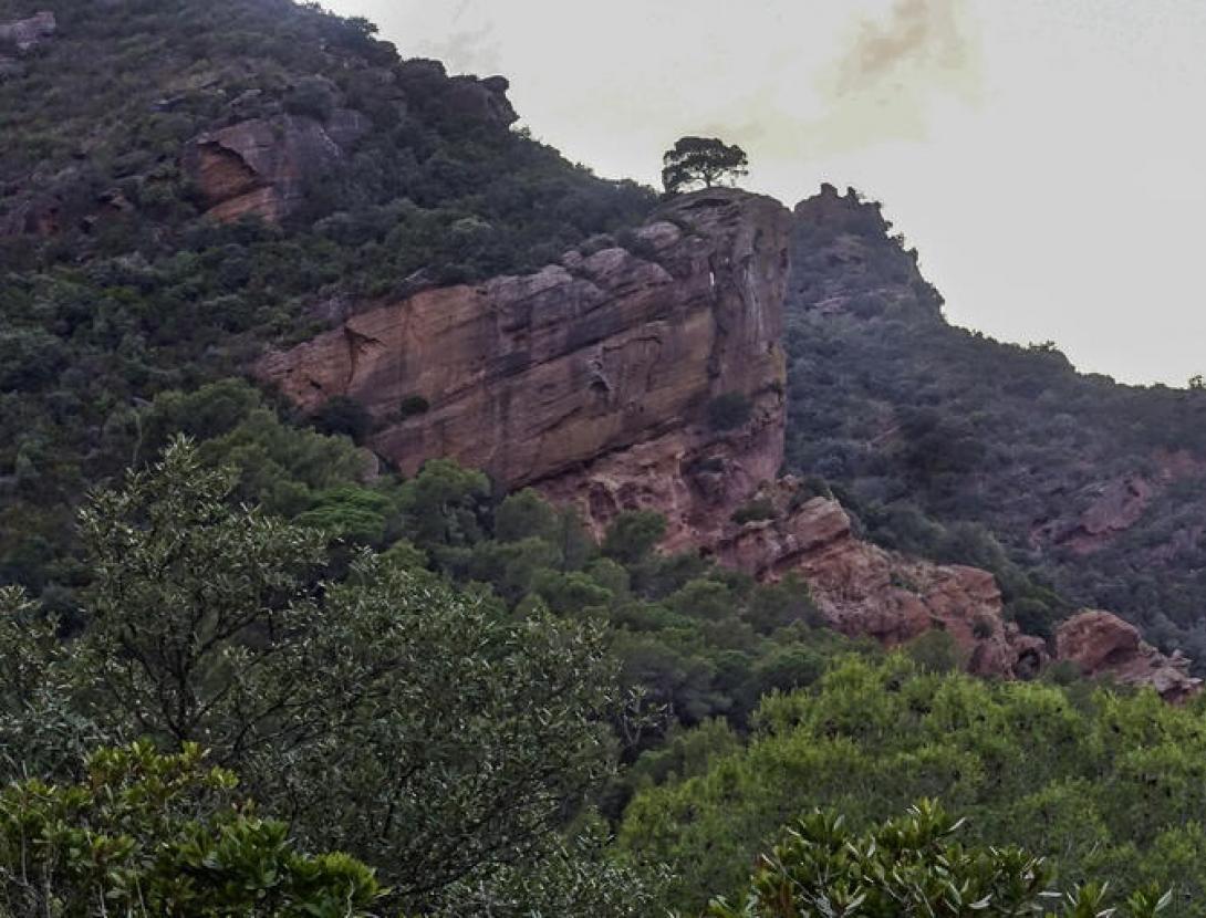 Conglomerat vermell Conglomerat vermell