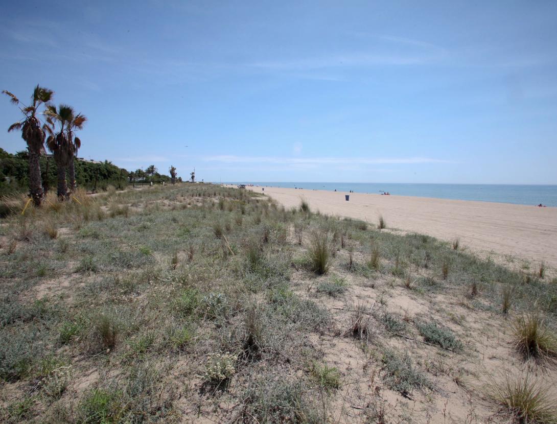Platja de Gavà dunas1.jpg