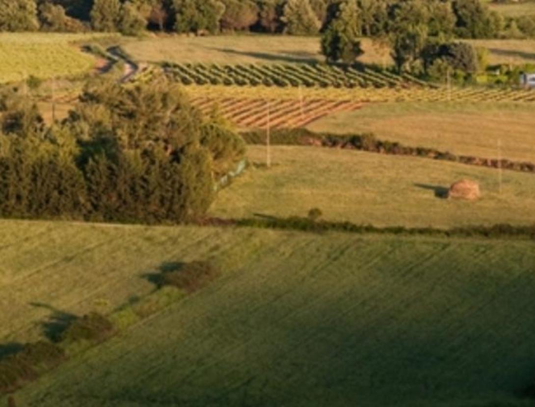 Plana de Begues Natura Local