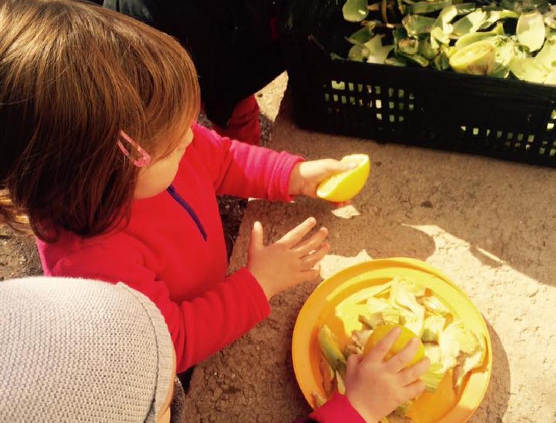 Ruta Delta Km0 - La Co-creativa fem un tastet.jpg