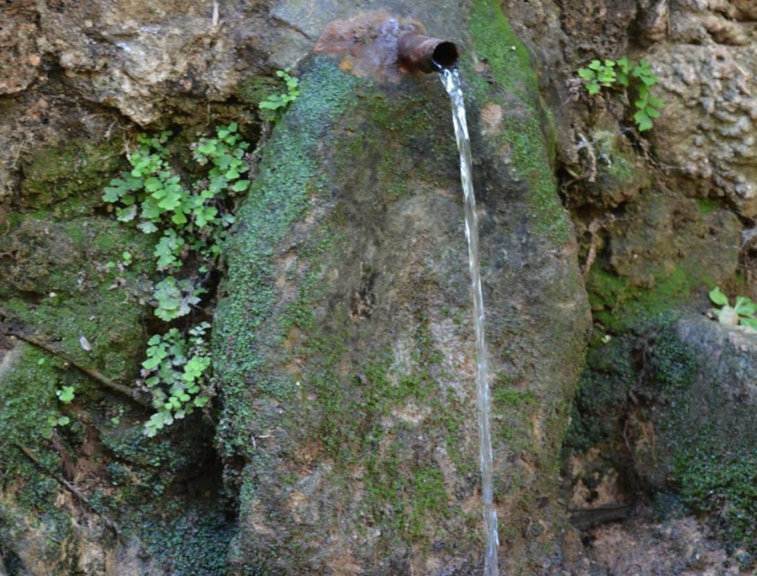 Font de les Rovires _DSC1788 copia.jpg