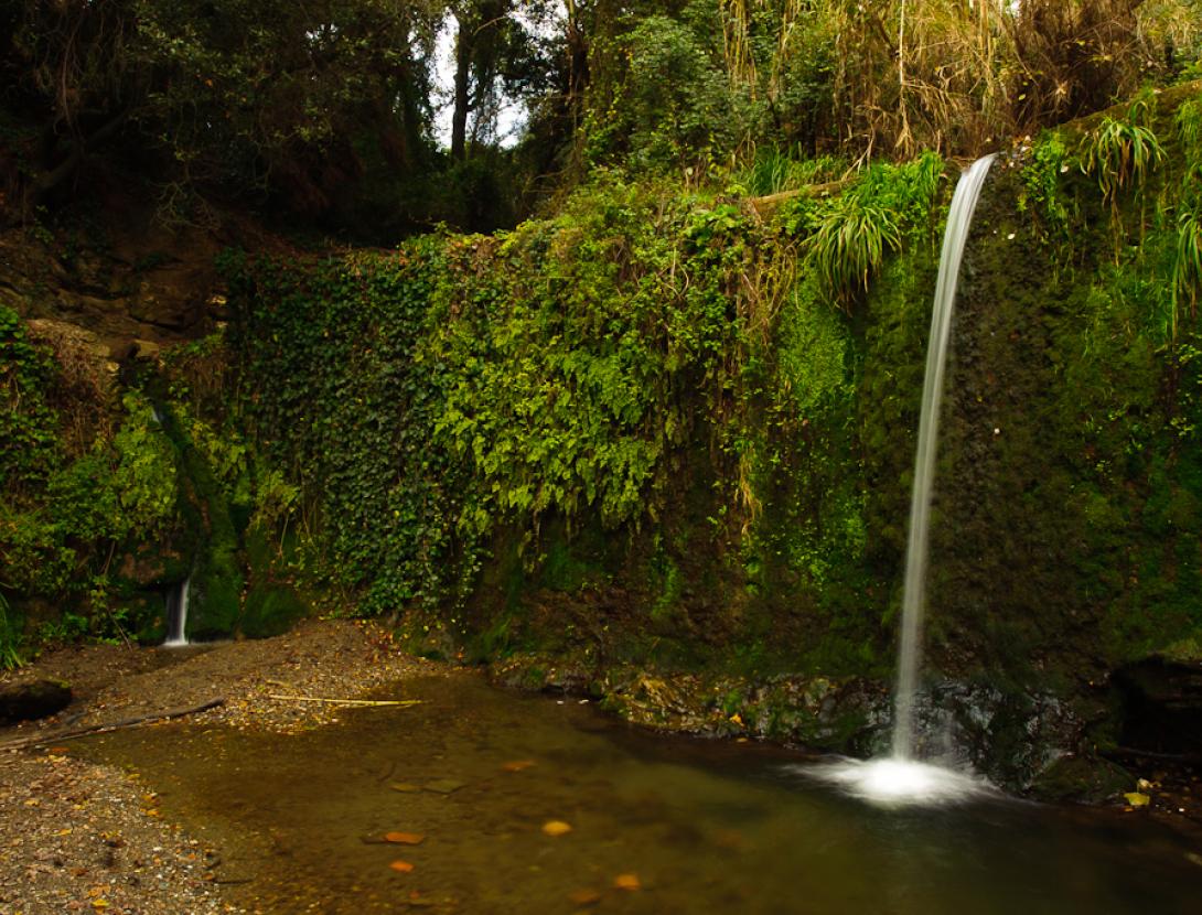 Parc Natural de la Serra de Collserola Salt d'aigua de la rierada Molins de Rei - autor Francesc Muntada