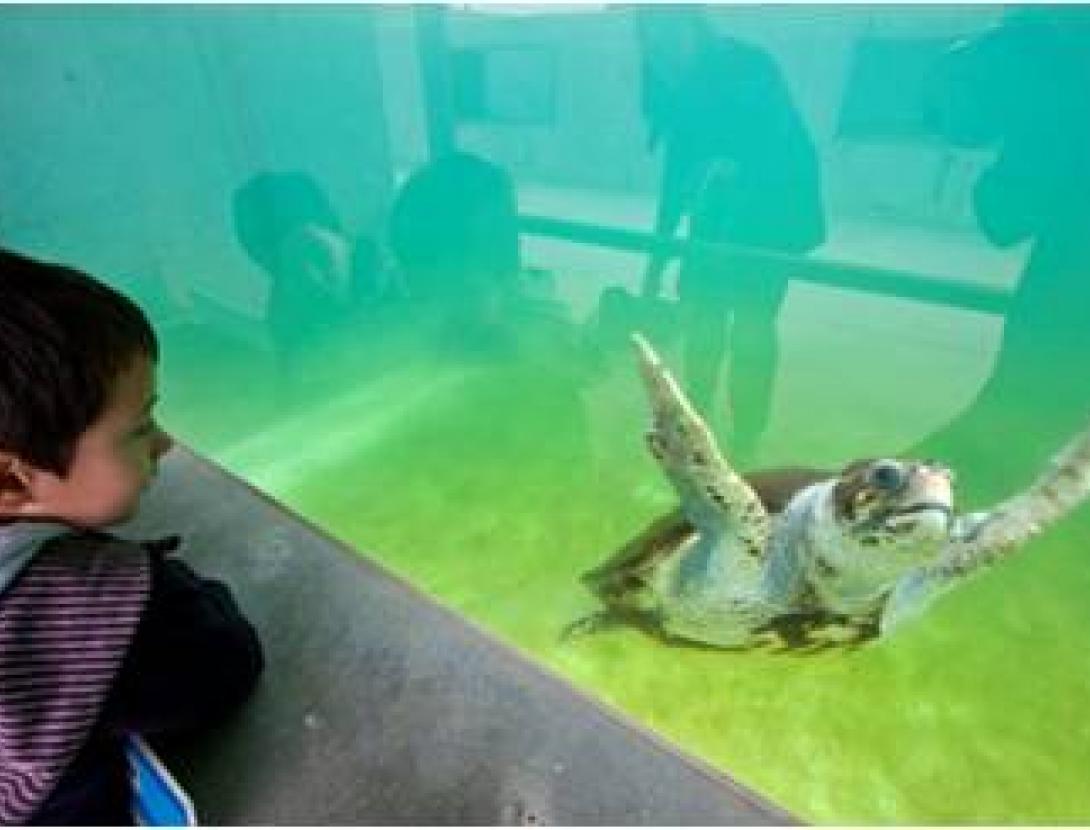 Fundació CRAM Imagen1.jpg