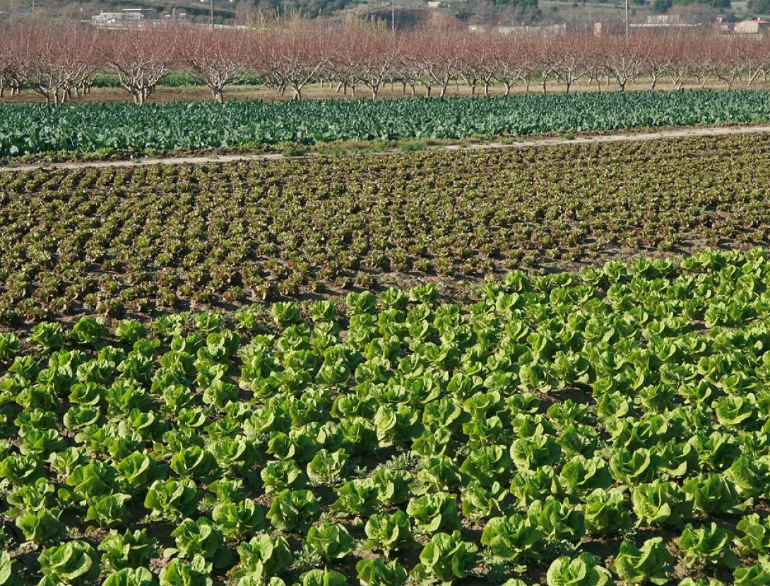 Masia Can Comas - Centre d'Informació i Gestió IMG_2994.jpg