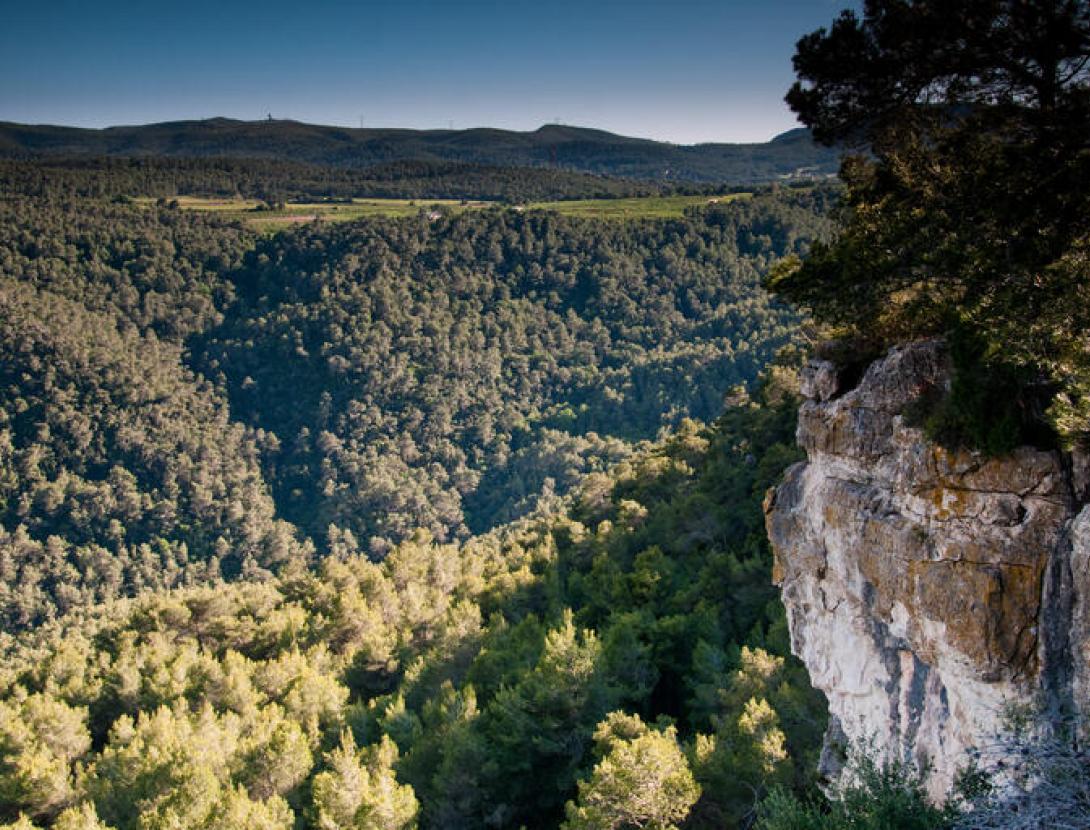 Marge del Moro Marge del Moro