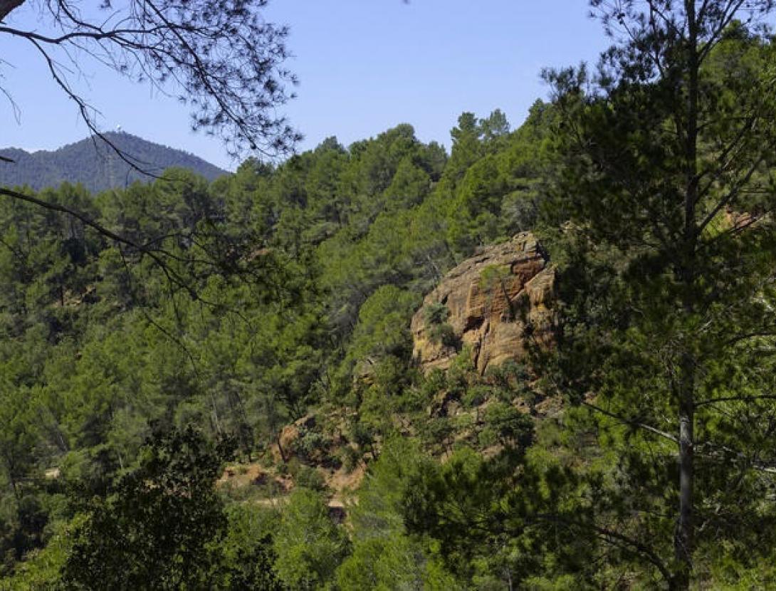 Muntanyes d'Ordal Muntanyes de l'Ordal