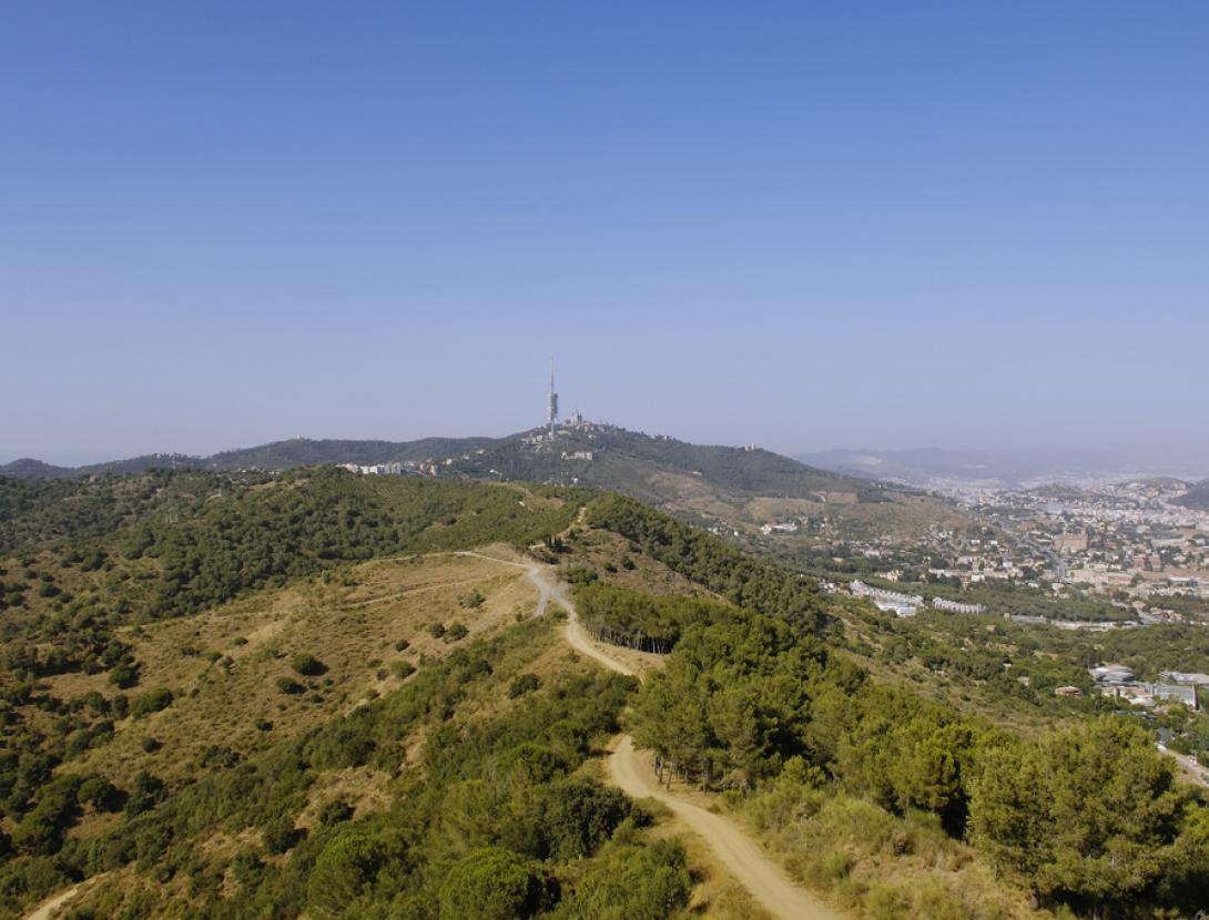 Parc Natural de la Serra de Collserola Collserola Sant Pere Martir Esplugues - autor Robert Penya