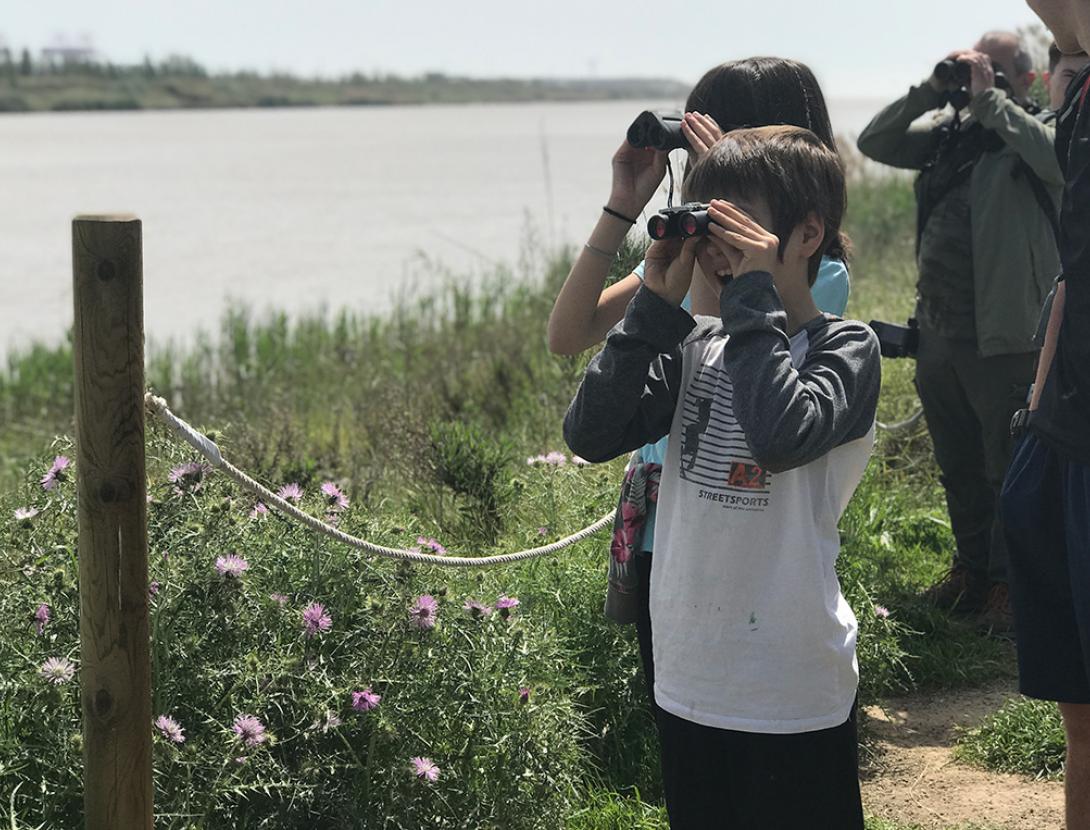 Ruta Delta Km0 - La Co-creativa rutakm0_delta-aves.jpg