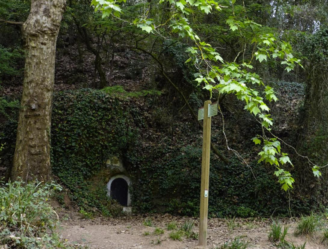 Font de la Flàvia Font de la Flavia. Natura Local