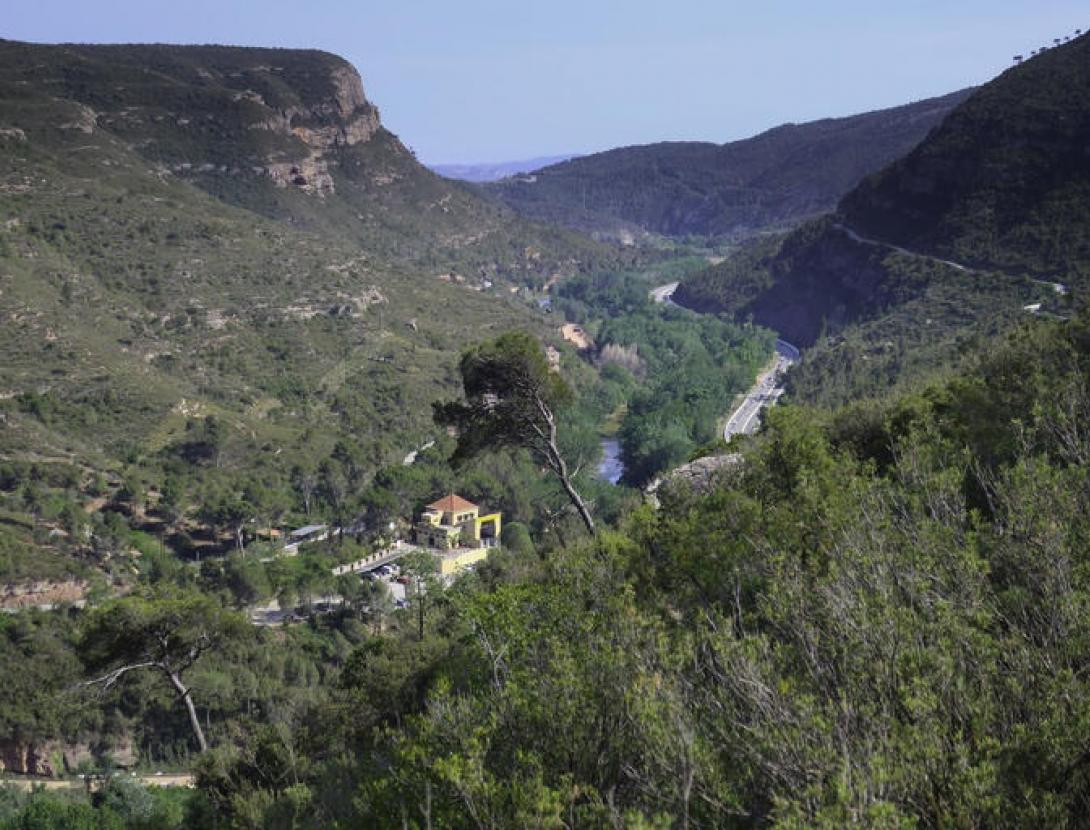 Congost del Cairat Congost del Cairat. Natura Local