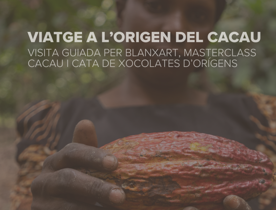 Blanxart Chocolates Blanxart Chocolates