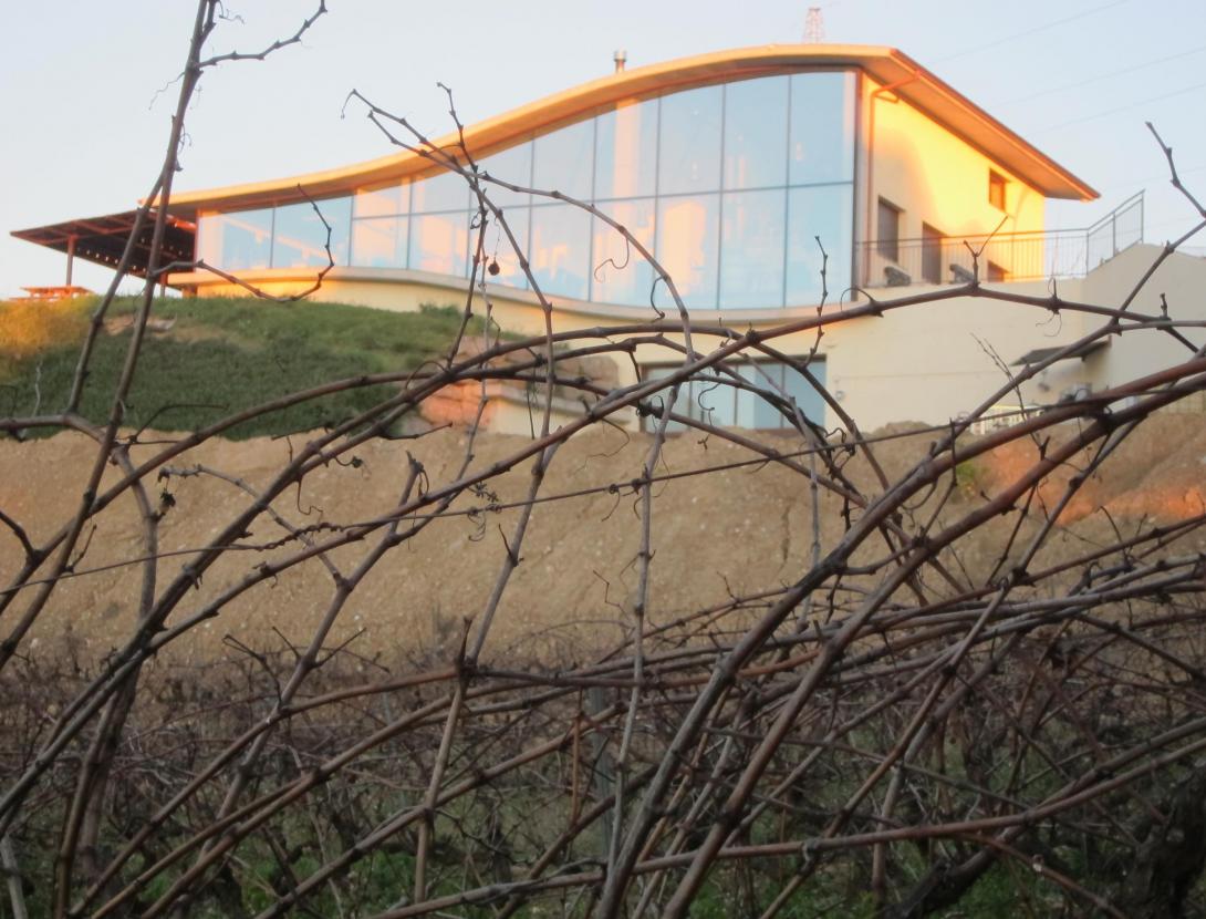 Buggy Vinya i tast al celler Can Casals can casals