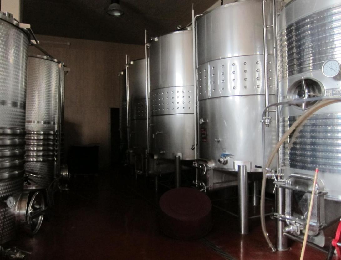 Buggy Vinya i tast al celler Can Casals can casals