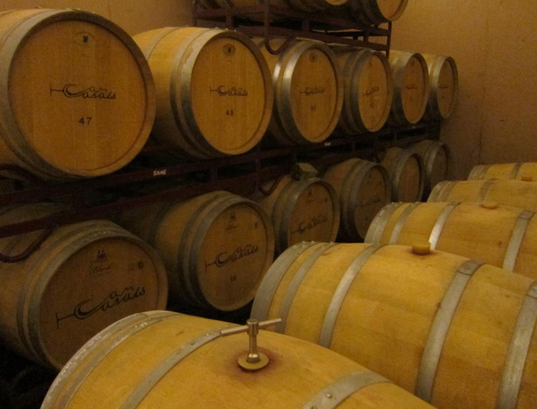 Buggy Vinya i tast al celler Can Casals can casals