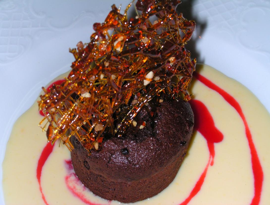 Hibiscus de Can Fisa DSCN1265.JPG