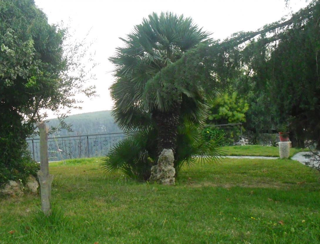 Mirador jardí (6).JPG